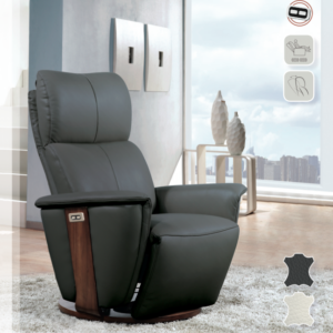 FAUTEUIL DE RELAXATION DESTINÉE – électrique