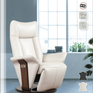 FAUTEUIL DE RELAXATION ESPACE – électrique