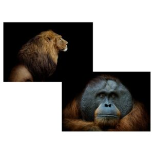 tableau lion gorille