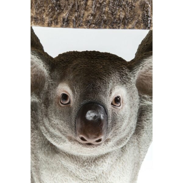 Zoom sur la tête du koala