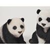 petits pandas mignons
