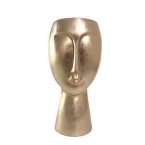vase visage or