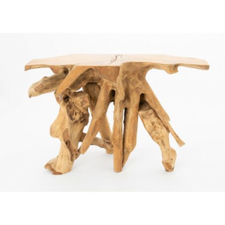console naturel racine bois arbre nature drimmer