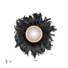 miroir avec des plumes