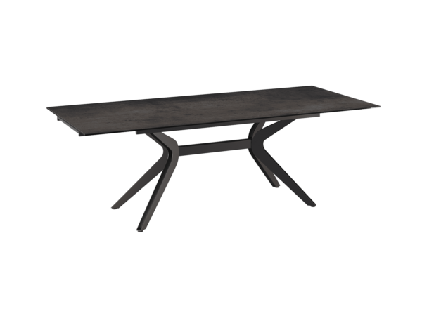 Table IMPULSION ACIER avec allonges