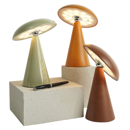 Lampe sans fil rechargeable avec variateur pour régler l'intensité. Différents coloris au choix